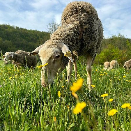 Tenuta Ca' Bella Dernice Esterno foto